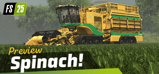 Mehr über den Artikel erfahren LS25 News: Spinat als neue Feldfrucht